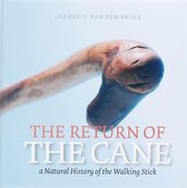 The Return Of The Cane