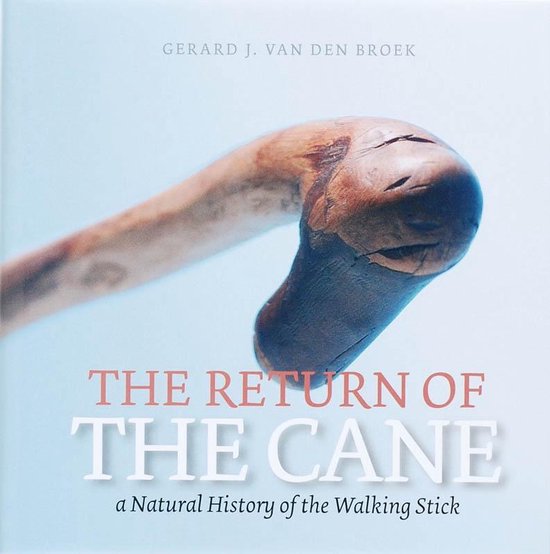 The Return Of The Cane - cover