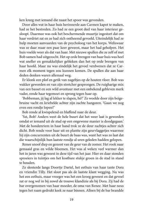 Pagina 19 van een boek met tekst.
