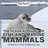 The Ocean Alphabet of Fish and Marine Mammals | Children's Fish & Marine Life