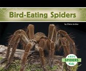 Spiders -  Bird-Eating Spiders