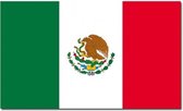 Vlag Mexico 90 x 150 cm feestartikelen - Mexico landen thema supporter/fan decoratie artikelen