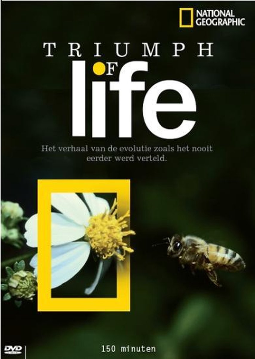 Ng. Triumph Of Life
