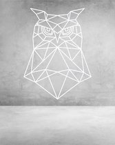 Uil Geometrisch Hout 50 x 67 cm White - Wanddecoratie