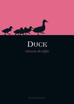 Animal - Duck