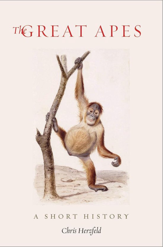 The Great Apes - cover