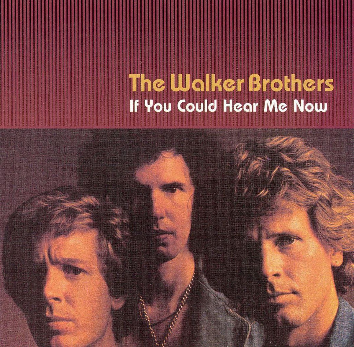 If You Could Hear Me Now, The Walker Brothers CD (album) Muziek