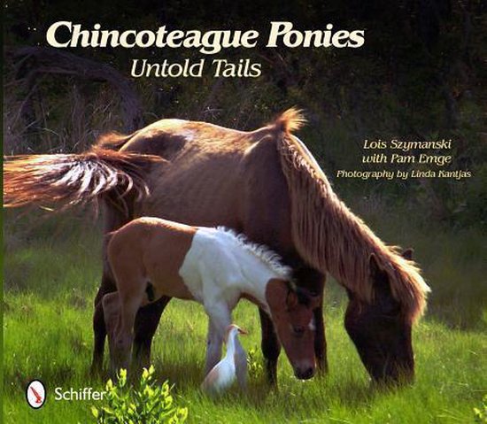 Boek cover Chincoteague Ponies van Lois Szymanski (Paperback)