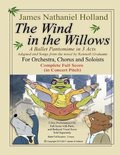 The Wind in the Willows Ballet-The Wind in the Willows