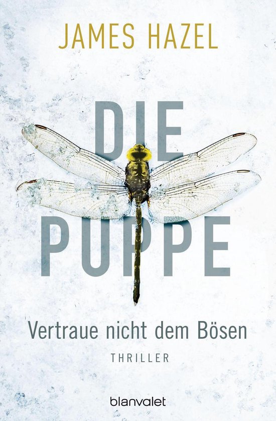 Charlie Priest-Reihe 2 - Die Puppe - Vertraue nicht dem Bös ... - cover