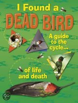 I Found A Dead Bird - A guide to the cycle of life and death