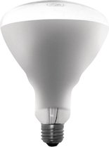 Buffalo warmtelamp 250W ES