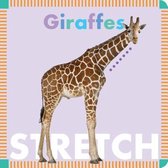 Giraffes Stretch