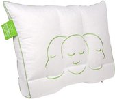 Silvana Larimar Hoofdkussen + Gratis Silvana Moltonsloop