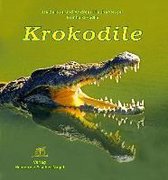 Krokodile