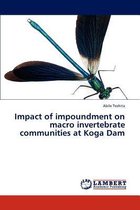 Impact of Impoundment on Macro Invertebrate Communities at Koga Dam