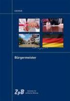 Bürgermeister - Führungskraft zwischen Bürgerschaft, Rat und Verwaltung
