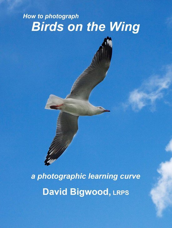 How to Photograph Birds on the Wing - cover