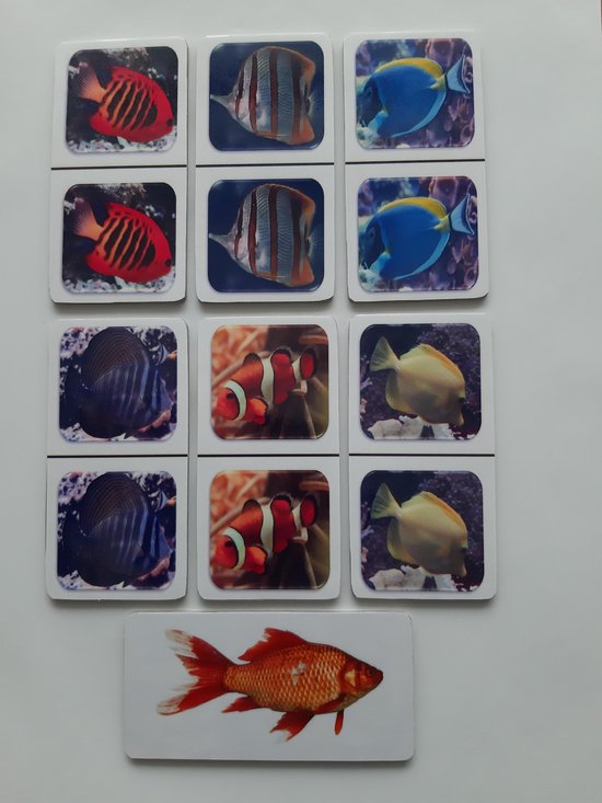 Thumbnail van een extra afbeelding van het spel Denkspel voor mensen met dementie FotoDomino Tropische Vissen