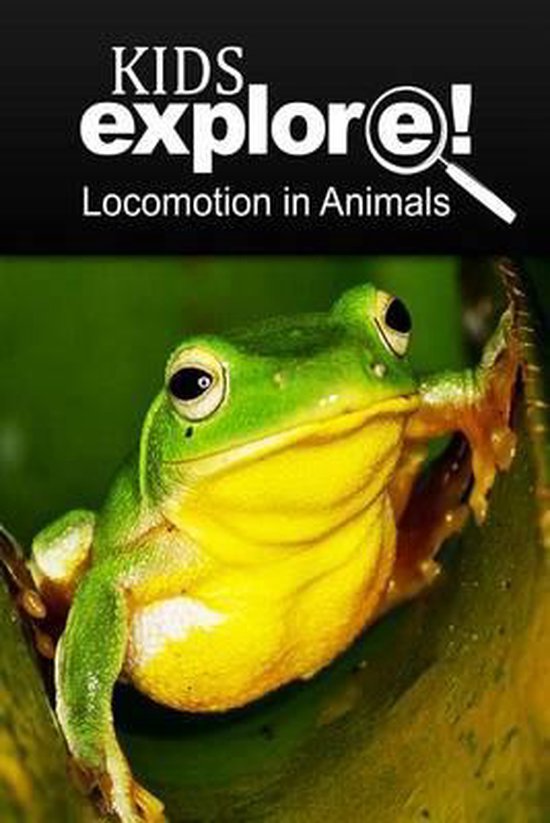 Flyers Gliders - Kids Explore - cover