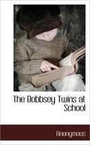 The Bobbsey Twins at School