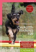 Cadmos Hundewelt - Cavalettitraining für Hunde
