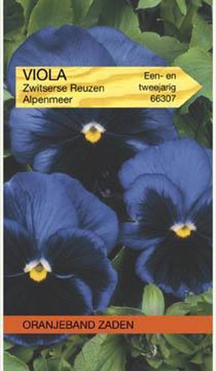 Viola, Viool Alpenmeer