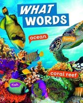 Word Play- What Words