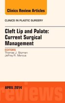 Cleft Lip And Palate: Current Surgical Management, An Issue