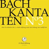 Chor & Orchester Der J.S. Bach-Stiftung, Rudolf Lutz - Bach: Bach Kantaten No.3 Bwv 132, 35 (CD)