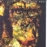 Dreaming Apes