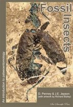 Fossil Insects