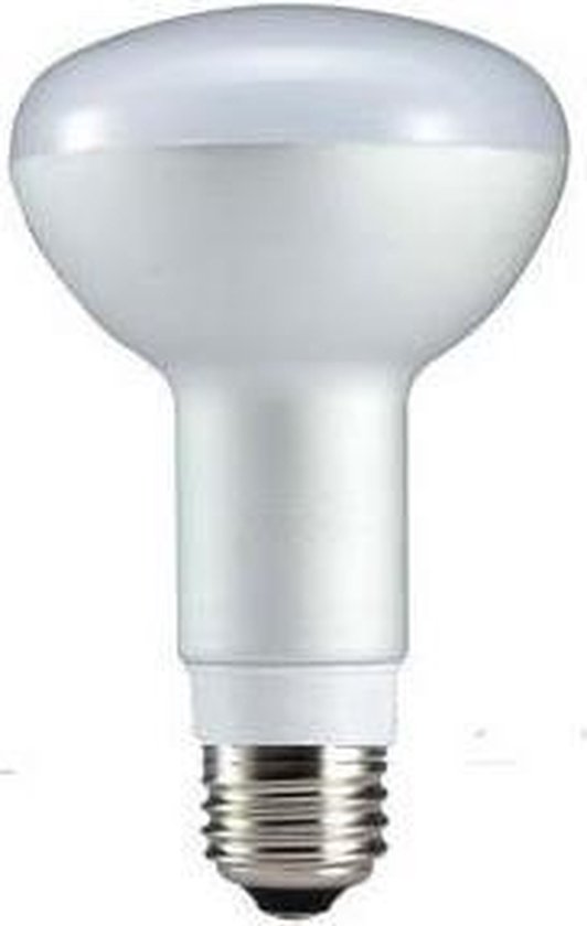 escaleren markt Vermelden LED lamp E27 Spot 9W Warmwit | bol.com