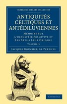 Antiquites Celtiques Et Antediluviennes, Vol. 3