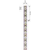 KapegoLED Flexible LED stripe, 3528-180-24V-6200K-5m-nano, coldwhite, constant voltage, 24V DC, power / power consumption: 75,00 W / 75,00 W, length: 5000 mm, EEC: A, IP44