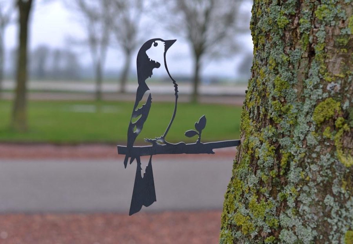 Vink