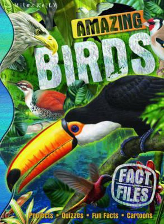 9781848104631 - Fact Files Amazing Birds