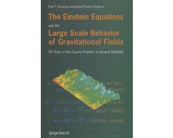 Omslag van The Einstein Equations and the Large Scale Behavior of Gravitational Fields