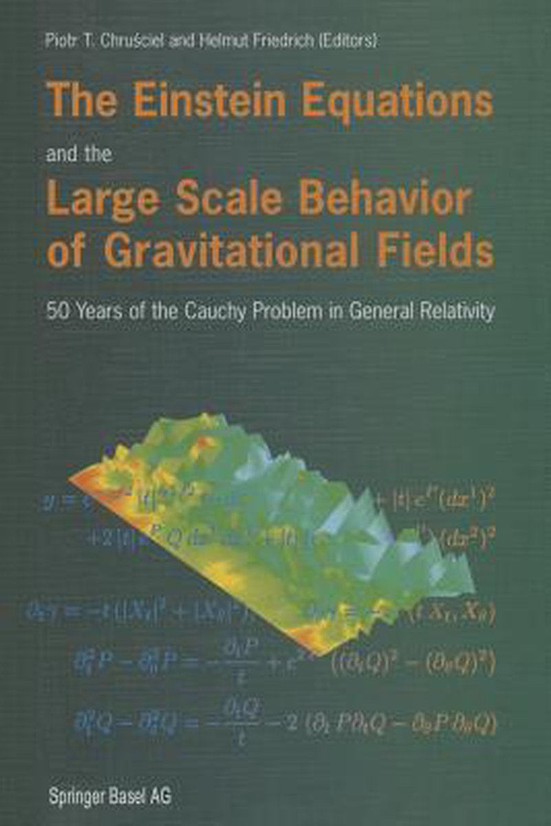 Omslag van The Einstein Equations and the Large Scale Behavior of Gravitational Fields