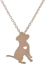 24/7 Jewelry Collection Hond Ketting - Hartje - Goudkleurig