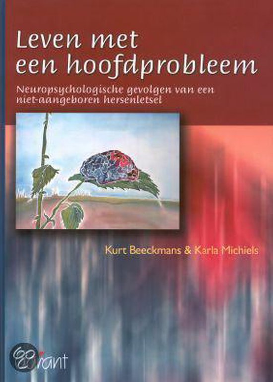 Leven met een hoofdprobleem - K. Beeckmans | Northernlights300.org