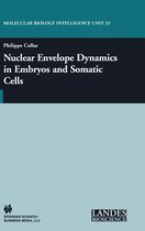 Nuclear Envelope Dynamics in Embryos and Somatic Cells