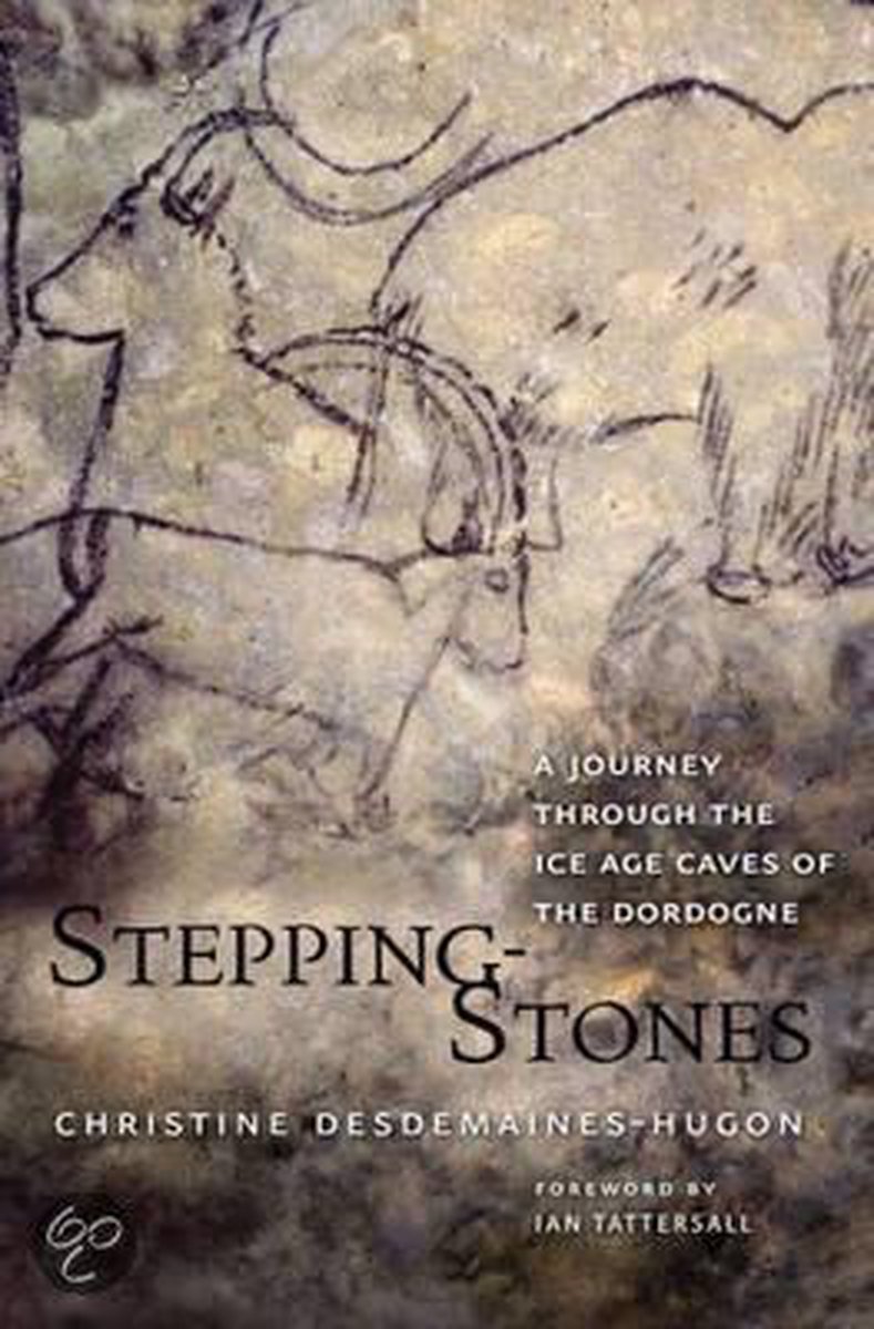 Omslag van Stepping-Stones