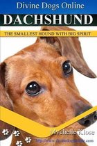 Dachshunds