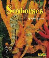 Seahorses