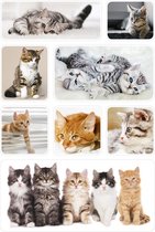 72x Poes/kat/kitten dieren stickers - kinderstickers - stickervellen - knutselspullen