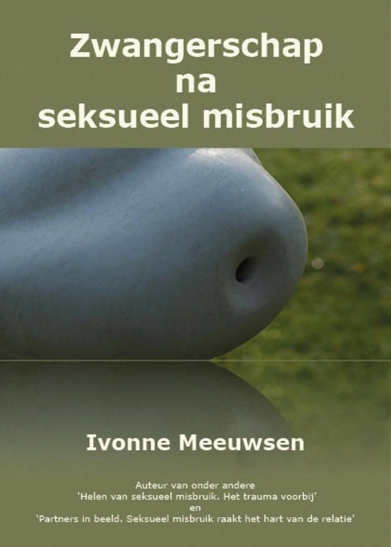 Titel 'Zwangerschap na seksueel misbruik' met een abstract beeld van een buik, door Ivonne Meeuwsen.