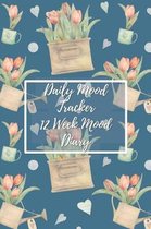 Daily Mood Tracker 12 Week Mood Diary