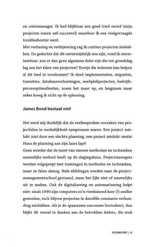 Het perfecte project