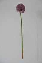 Viv! Home Luxuries Allium - Zijden Bloem - Paars - Topkwaliteit